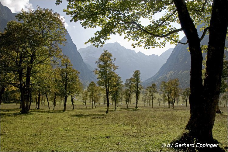 107344.jpg - Großer Ahornboden