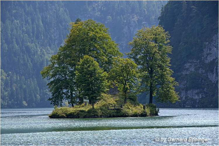 105294.jpg - Insel im Königsee